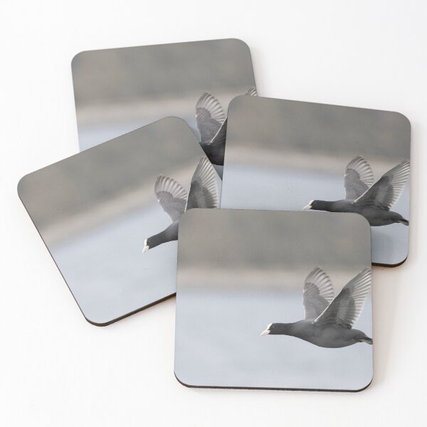 Item preview, Eurasian Coot designed and sold by LaurenTucker.