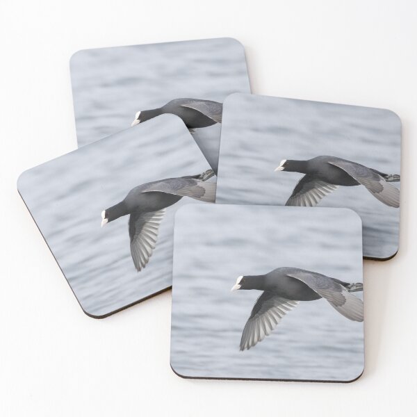 Item preview, Eurasian Coot designed and sold by LaurenTucker.