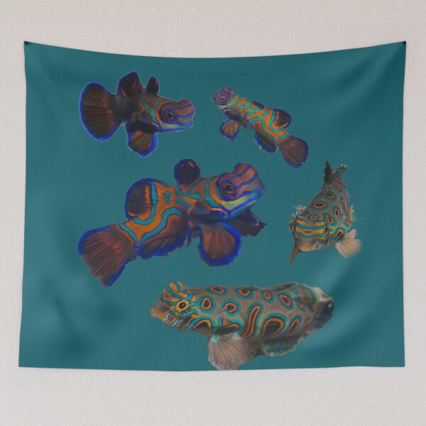 Item preview, Dragonets designed and sold by ScubaPrincesss.