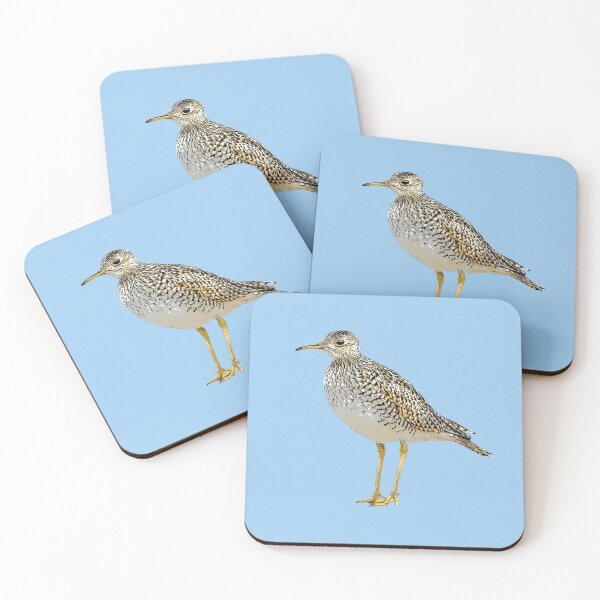 Item preview, Upland Sandpiper Color Design  designed and sold by designsasstultd.