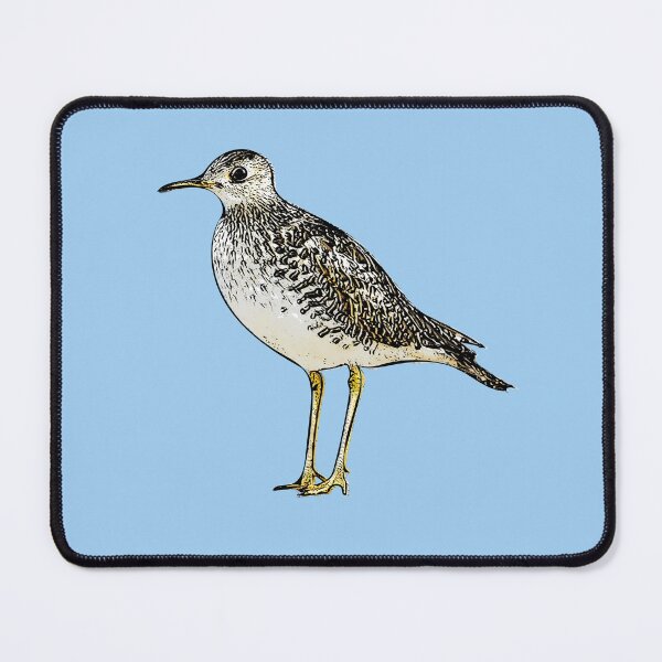 Item preview, Upland Sandpiper Black Alternate Design designed and sold by designsasstultd.