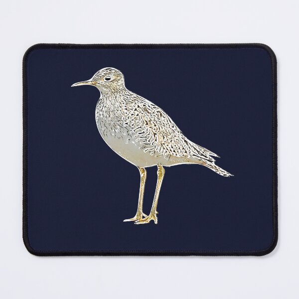 Item preview, Upland Sandpiper White Alternate Design designed and sold by designsasstultd.