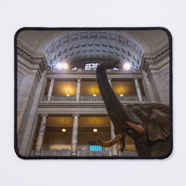 Item preview, Smithsonian Museum of Natural History, Washington DC designed and sold by jrtwynam.