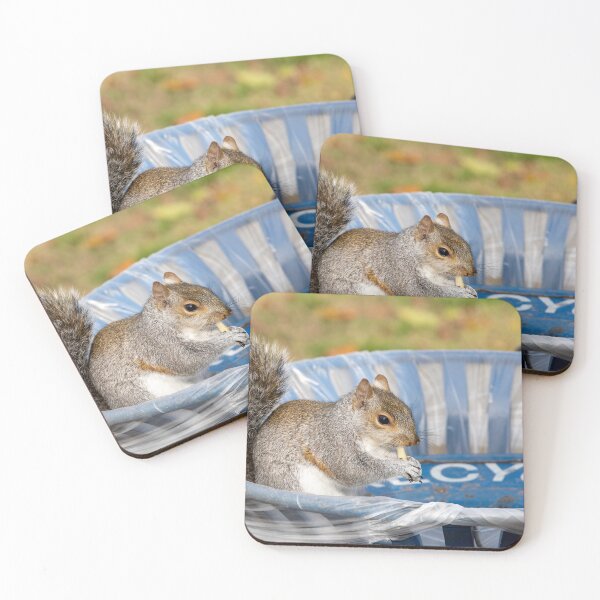 Item preview, Adorable Squirrel Snack Time designed and sold by jrtwynam.