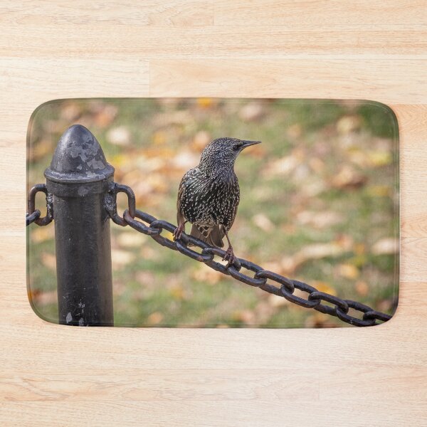 Item preview, Common Starling in Washington D.C. designed and sold by jrtwynam.