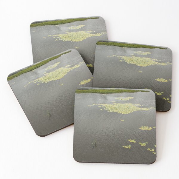 Item preview, Aquatic plants in a pond during the day designed and sold by felipequeiroz.