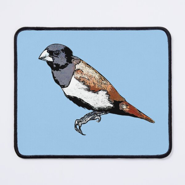 Item preview, Tricolored Munia Black Alternate Design designed and sold by designsasstultd.