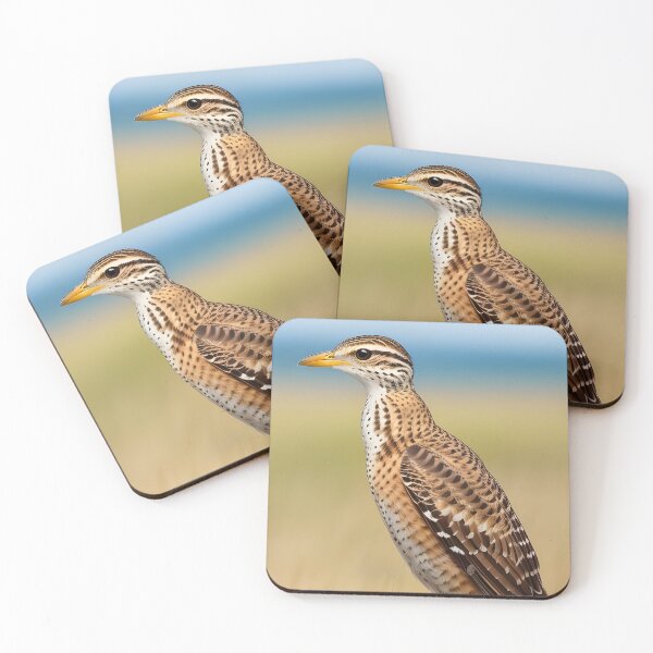 Item preview, plains wanderer designed and sold by aliraweb.