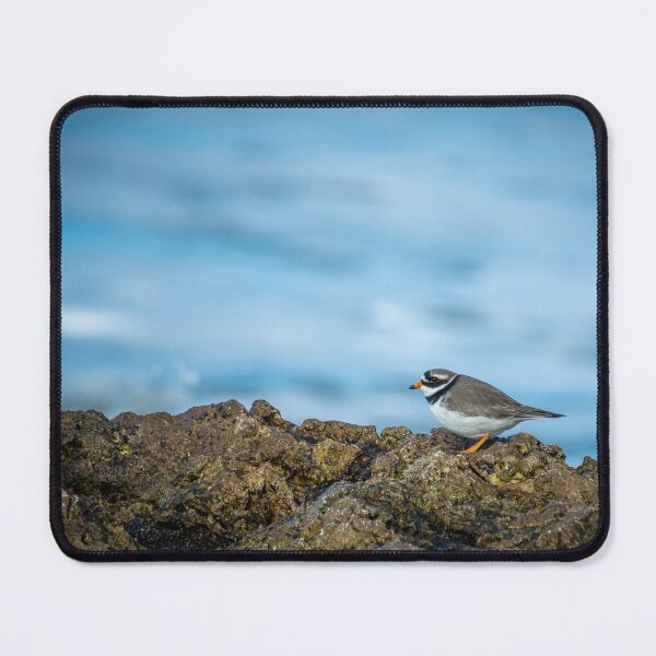 Item preview, Ringed Plover designed and sold by Nigel R Bell Photography.