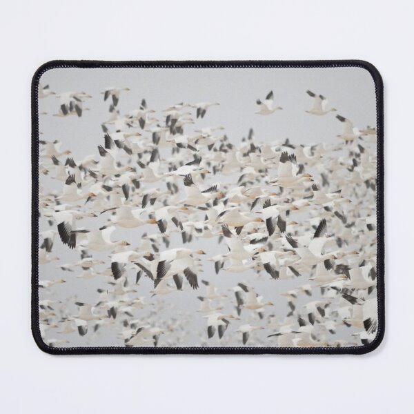 Item preview, The Great Snow Goose Migration designed and sold by Whisperingpeaks.