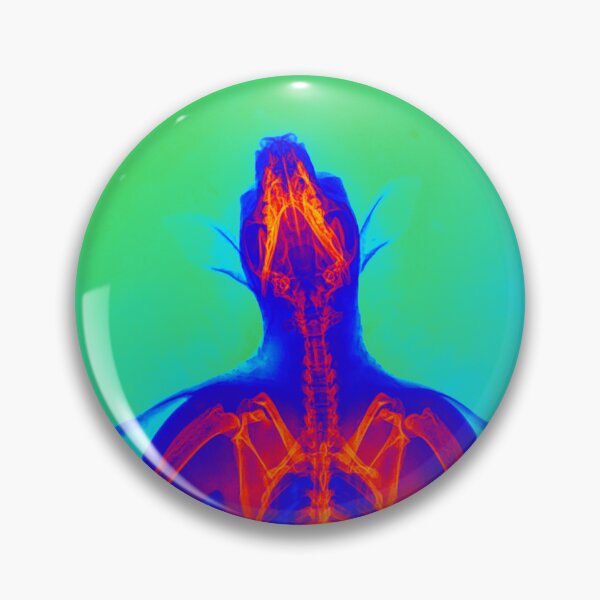 Item preview, (Choose your color) Bat gets an X-Ray Light & Cleaned designed and sold by MegabattieBlue.