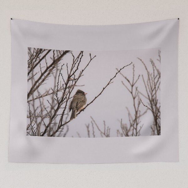 Item preview, Perched Dark Eyed Junco in Winter designed and sold by Debra Martz.