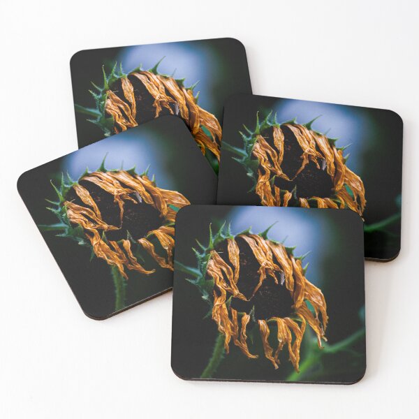 Item preview, Wilted Sunflower designed and sold by bkgfoto.