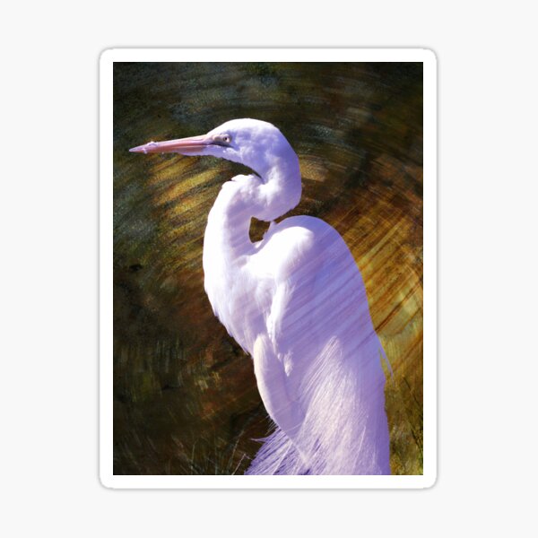 Item preview, Portrait of an Egret designed and sold by Robert Ball.