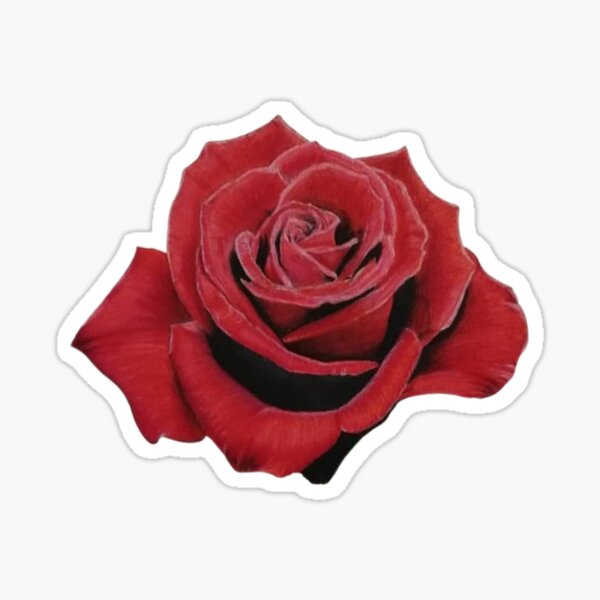 Item preview, Red Rose Sticker designed and sold by meartofficiall.