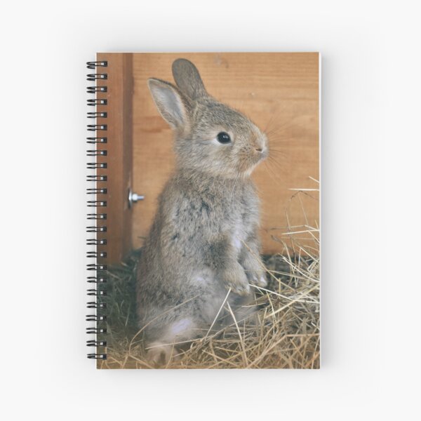 Item preview, Fluffy Brown and Gray Rabbit in Hay  designed and sold by CountyKent.