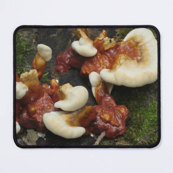 Item preview, Reishi Cluster on Log designed and sold by WolfNoodles.