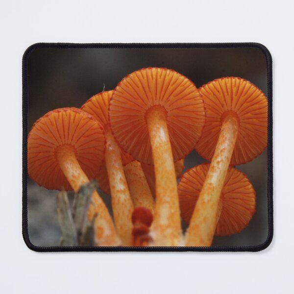 Item preview, Orange Mycena Mushroom Gills designed and sold by WolfNoodles.
