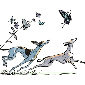 Artwork thumbnail, Buttefly Races by Scribbles & Doodles by Jinx