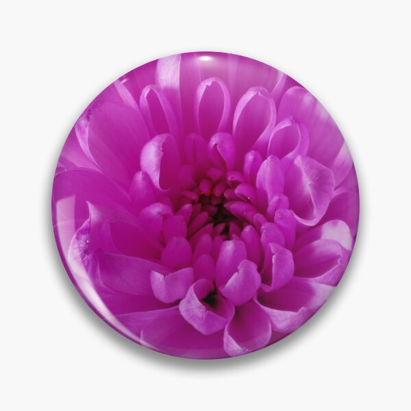 Item preview, aster flower designed and sold by IgorKovalenko.
