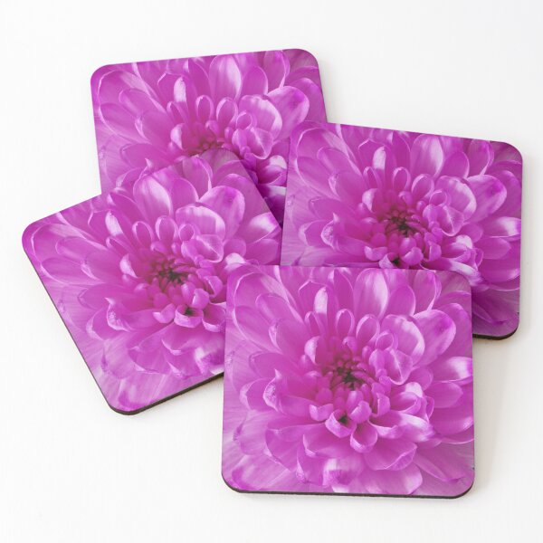 Item preview, aster flower designed and sold by IgorKovalenko.
