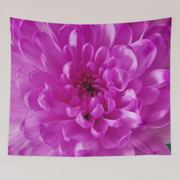 Item preview, aster flower designed and sold by IgorKovalenko.