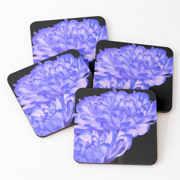 Item preview, aster flower designed and sold by IgorKovalenko.