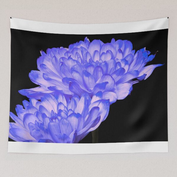 Item preview, aster flower designed and sold by IgorKovalenko.