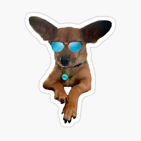 Item preview, Cool Chihuaua designed and sold by Electronic Art.