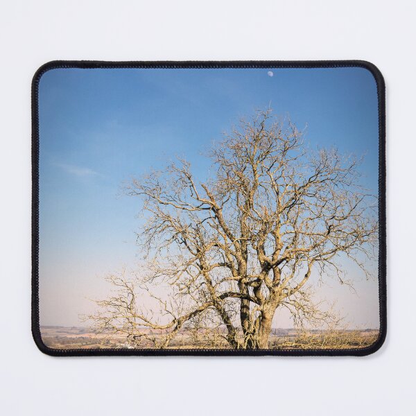 Item preview, Kent Downs view designed and sold by JEZ22.