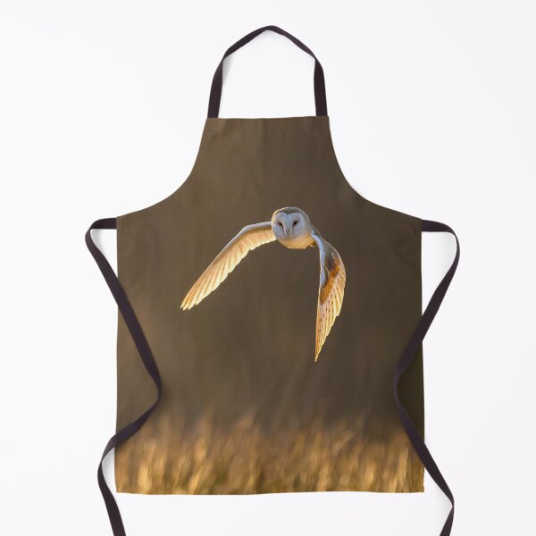Item preview, BARN OWL designed and sold by Steve Liptrot Photography.