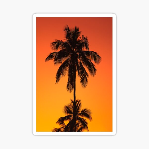 Aperçu de l'œuvre Lever de soleil sur les palmiers créée et vendue par SolsaasFocus.