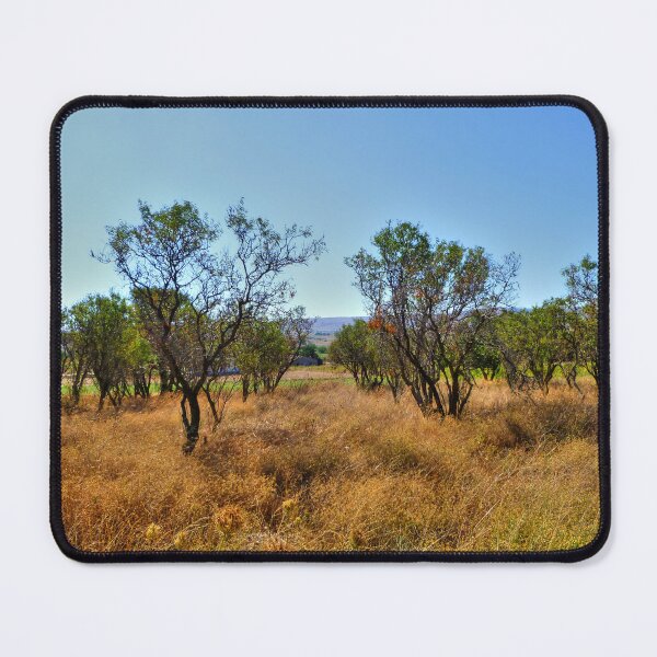 Item preview, Lines of Trees designed and sold by Vicki Spindler (VHS Photography).