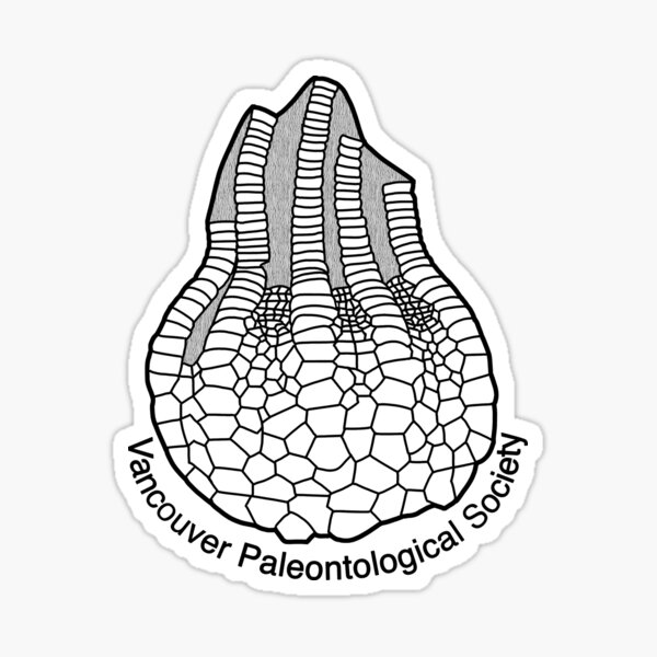 Item preview, Uintacrinus species (Crinoid): Fossils of BC designed and sold by VanPaleoSociety.