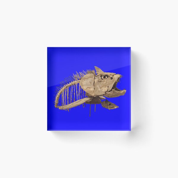 Item preview, Xiphactinus fossil fish skeleton designed and sold by Creative Endeavors ..