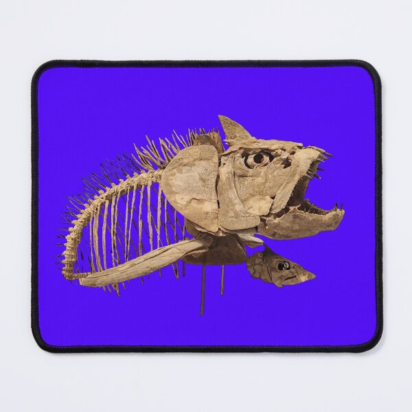 Item preview, Xiphactinus fossil fish skeleton designed and sold by Creative Endeavors ..