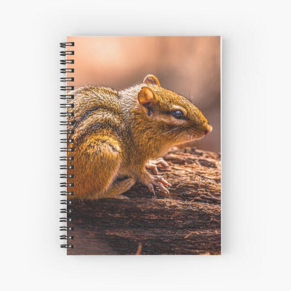 Item preview, Chipmunk designed and sold by SolsaasFocus.