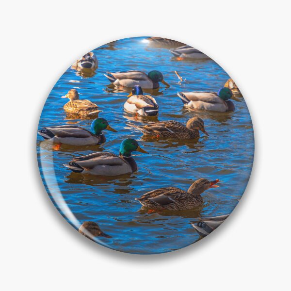 Item preview, Ducks designed and sold by SolsaasFocus.