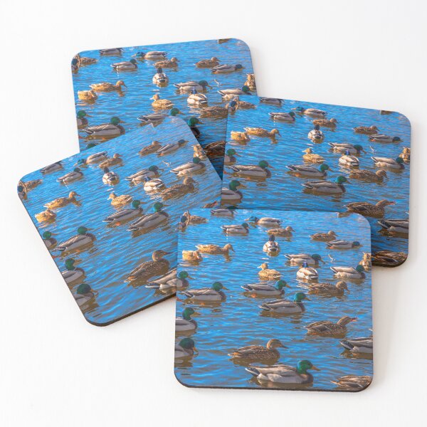 Item preview, Ducks designed and sold by SolsaasFocus.