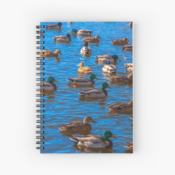 Item preview, Ducks designed and sold by SolsaasFocus.