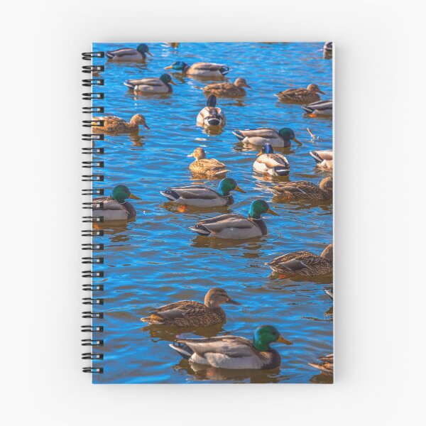 Item preview, Ducks designed and sold by SolsaasFocus.