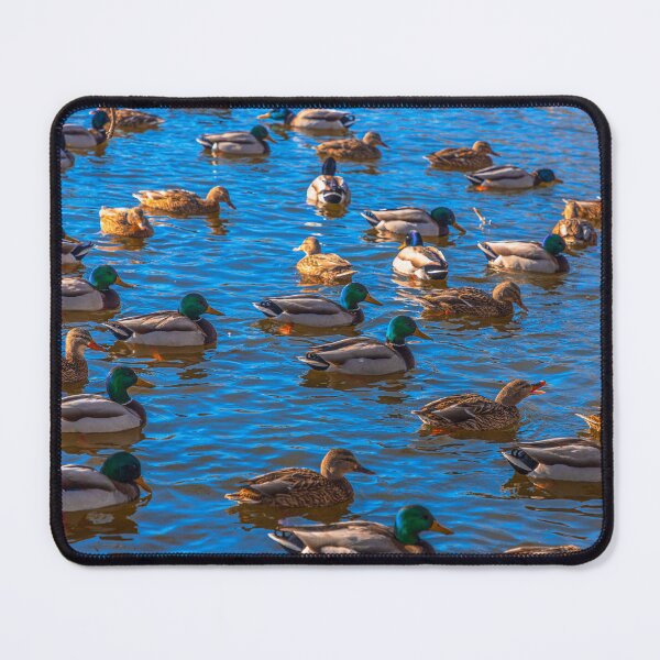 Item preview, Ducks designed and sold by SolsaasFocus.
