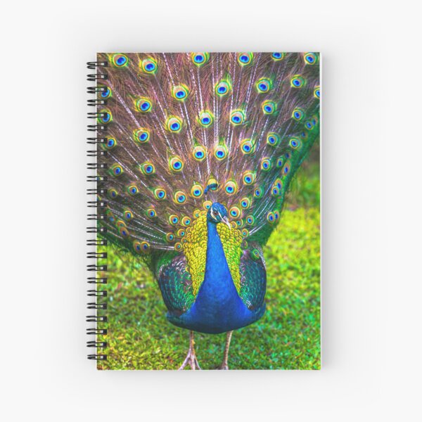 Item preview, Peacock designed and sold by SolsaasFocus.