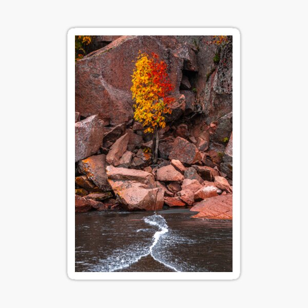 Item preview, Fall Symmetry designed and sold by SolsaasFocus.