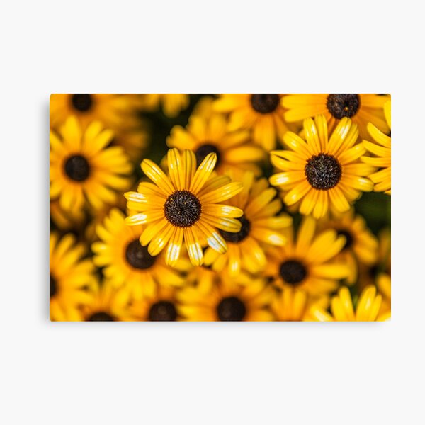 Item preview, Yellow Flower designed and sold by SolsaasFocus.