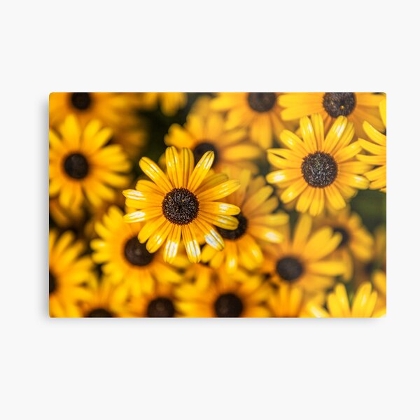 Aperçu de l'œuvre Fleur jaune créée et vendue par SolsaasFocus.