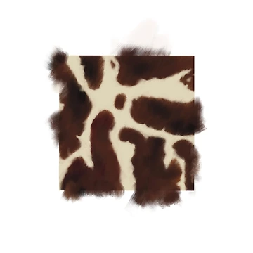 Artwork thumbnail, Wild Texture  by Racoodle
