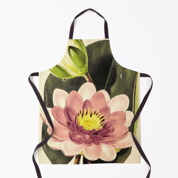 Item preview, Nymphæa alba var. rosa from The florist and pomologist (1879) designed and sold by Douglas E. Welch Design and Photography.