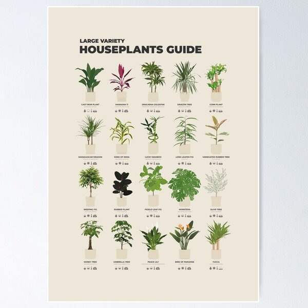 Item preview, Illustrated Houseplants Chart designed and sold by aio.