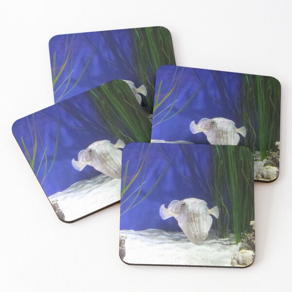 Item preview, cuttlefish in a blue aquarium designed and sold by Lizzilzil.